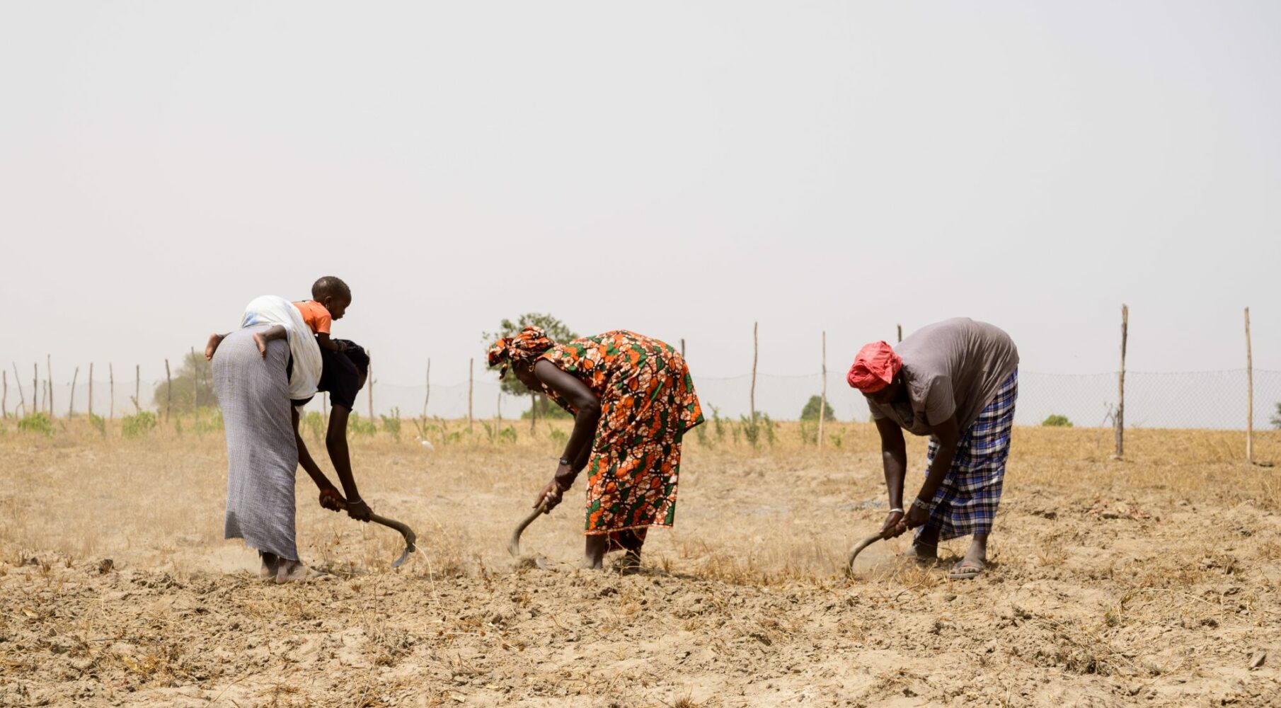 Eclosio_Femmes, terre et transition agroécologique