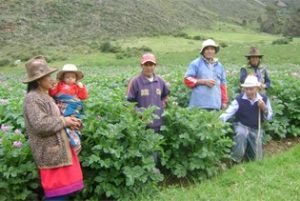La Belgique ne respecte pas ses engagements dans la lutte contre la faim !