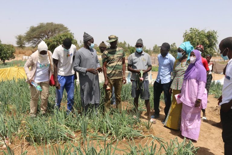 Bulletin d&rsquo;information Afrique de l&rsquo;Ouest n° 3 – Octobre 2021