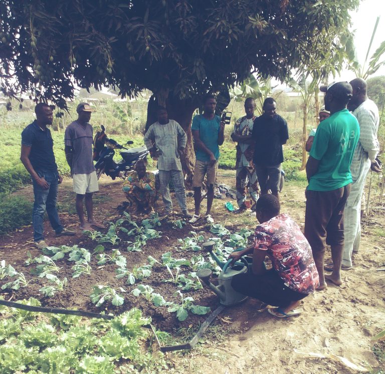Le·la Paysan·ne relais selon Ucoopia (anciennement Eclosio) et ses partenaires : 10 recommandations pour réussir cette approche