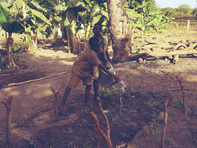 10 recommandations pour réussir un jardin scolaire