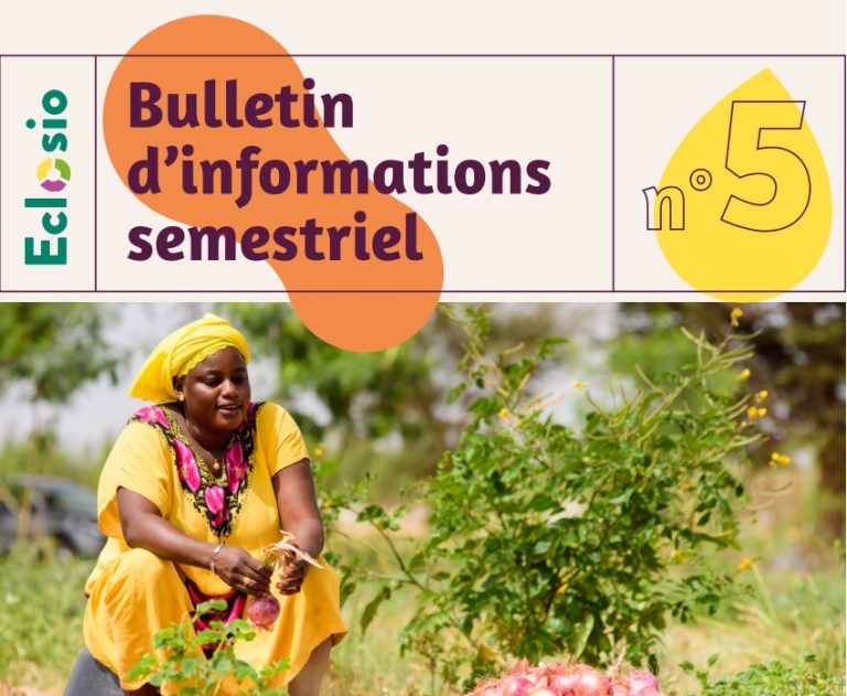 Bulletin d&rsquo;information Afrique de l&rsquo;Ouest n° 5 – juillet 2022