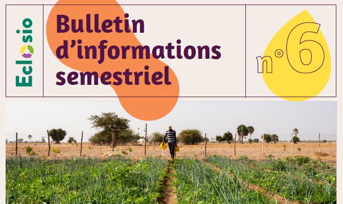 Bulletin d&rsquo;information Afrique de l&rsquo;Ouest n°6 – Mars 2023