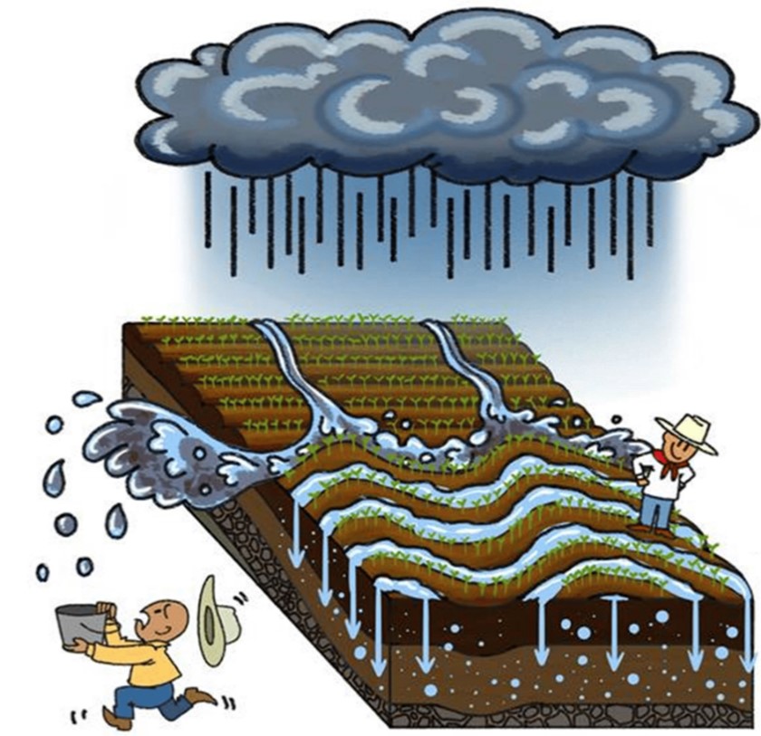 Représentation du principe du Keyline design, Ponce-Rodríguez, M. (2021). Analyse Lisa Di Maggio