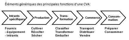Eléments génériques des principales fonctions d