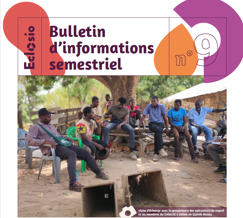 Photo de couverture du bulletin Afrique de l