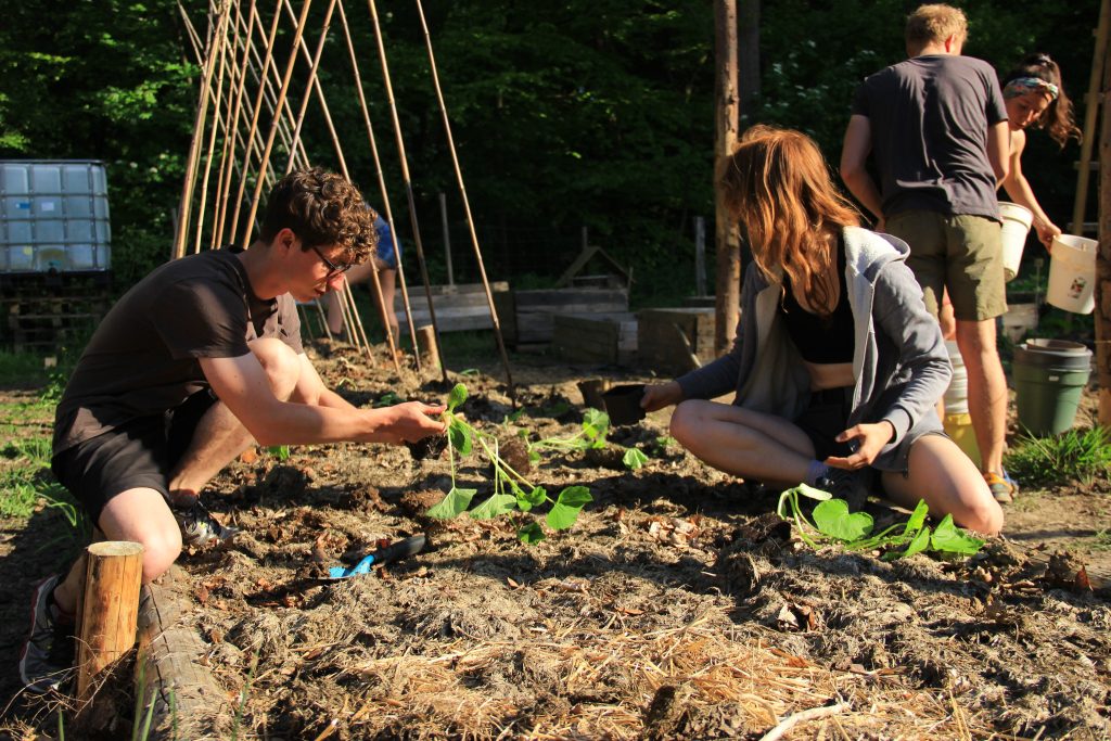 Ucoopia (anciennement Eclosio)_Le Pot