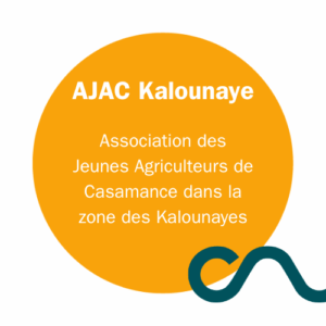 AJAC Kalounaye – Association des Jeunes Agriculteurs de Casamance dans la zone des Kalounayes – Sénégal