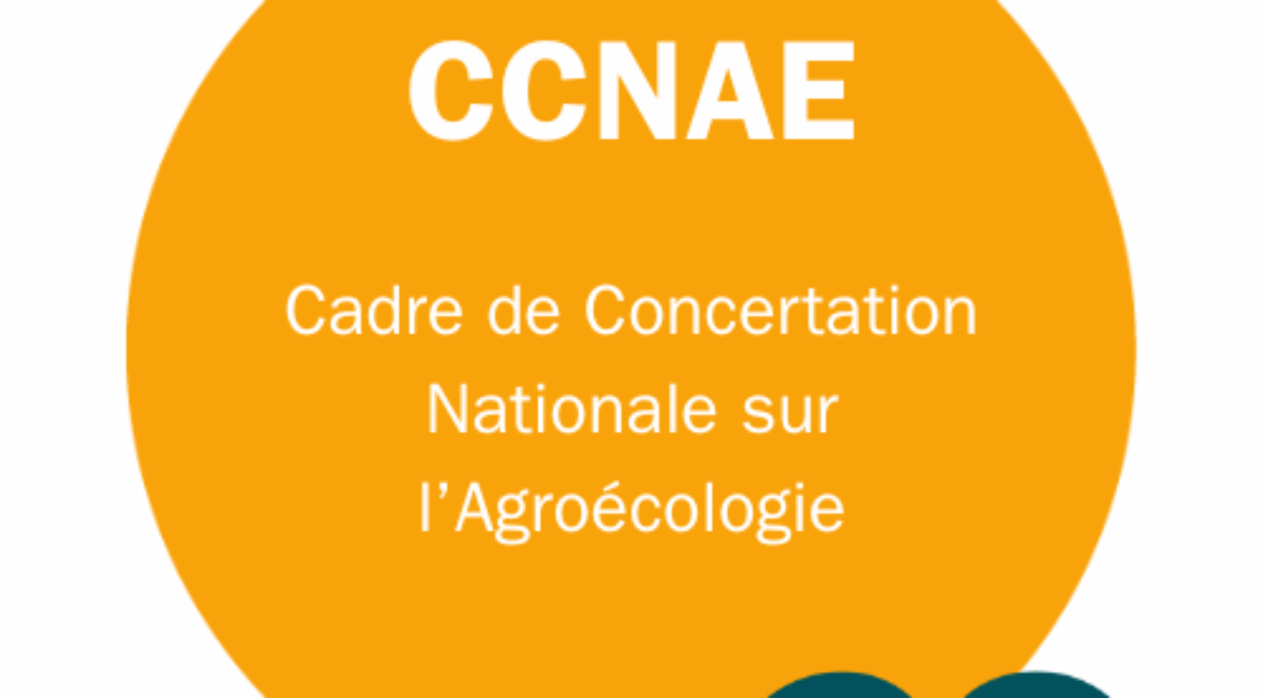 CCNAE