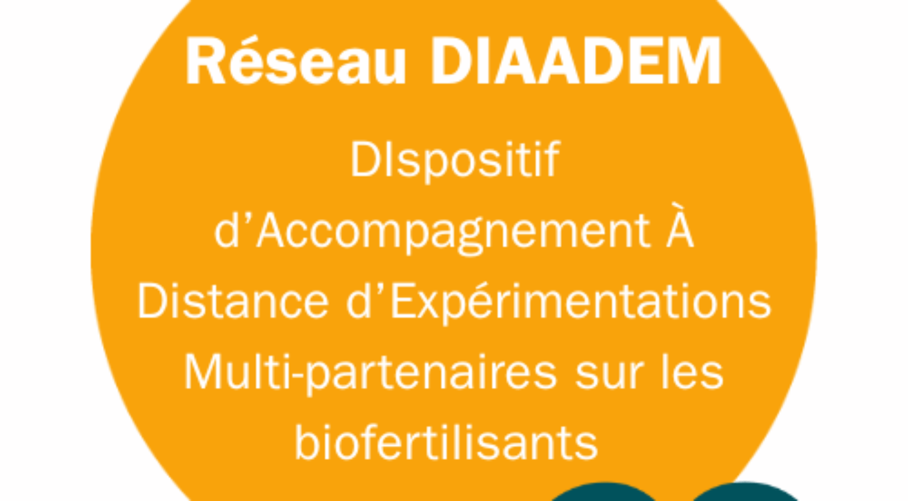 Réseau DIAADEM logo