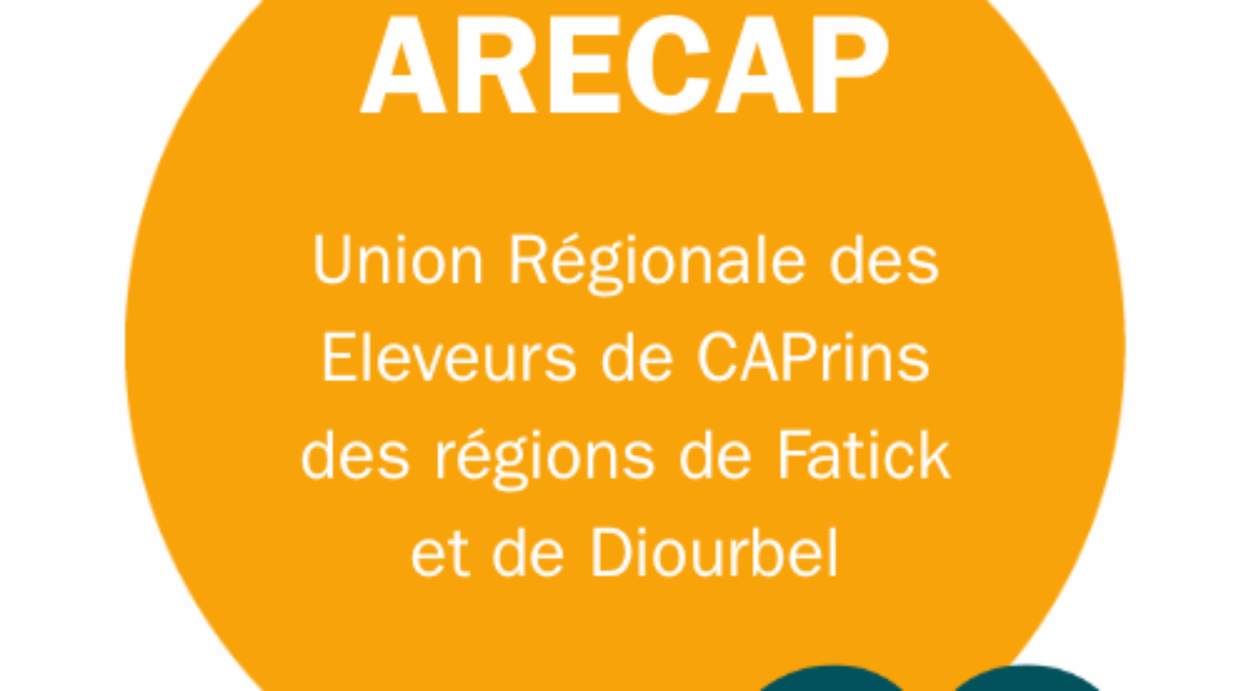 ARECAP