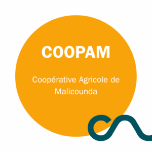 COOPAM – Coopérative Agricole de Malicounda – Sénégal