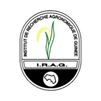 Institut de Recherche en Environnement de Guinée (IREG) – Guinée