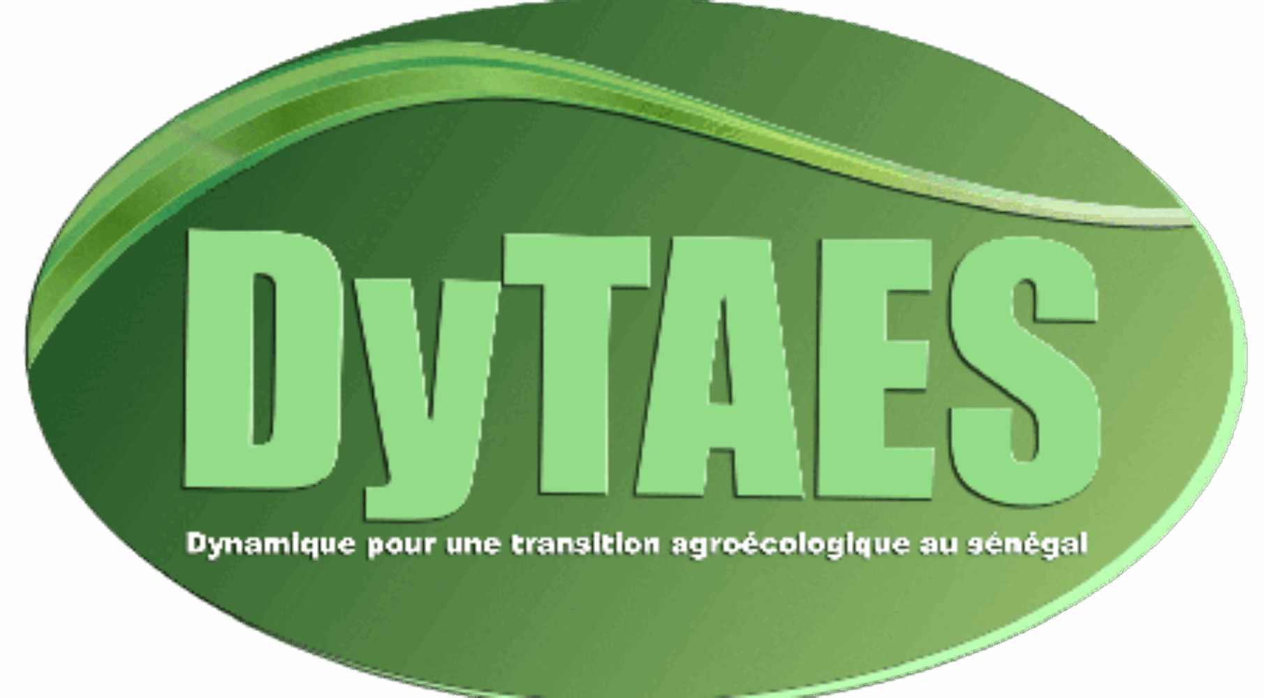 Logo Dytaes