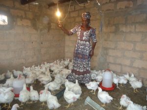 aviculture