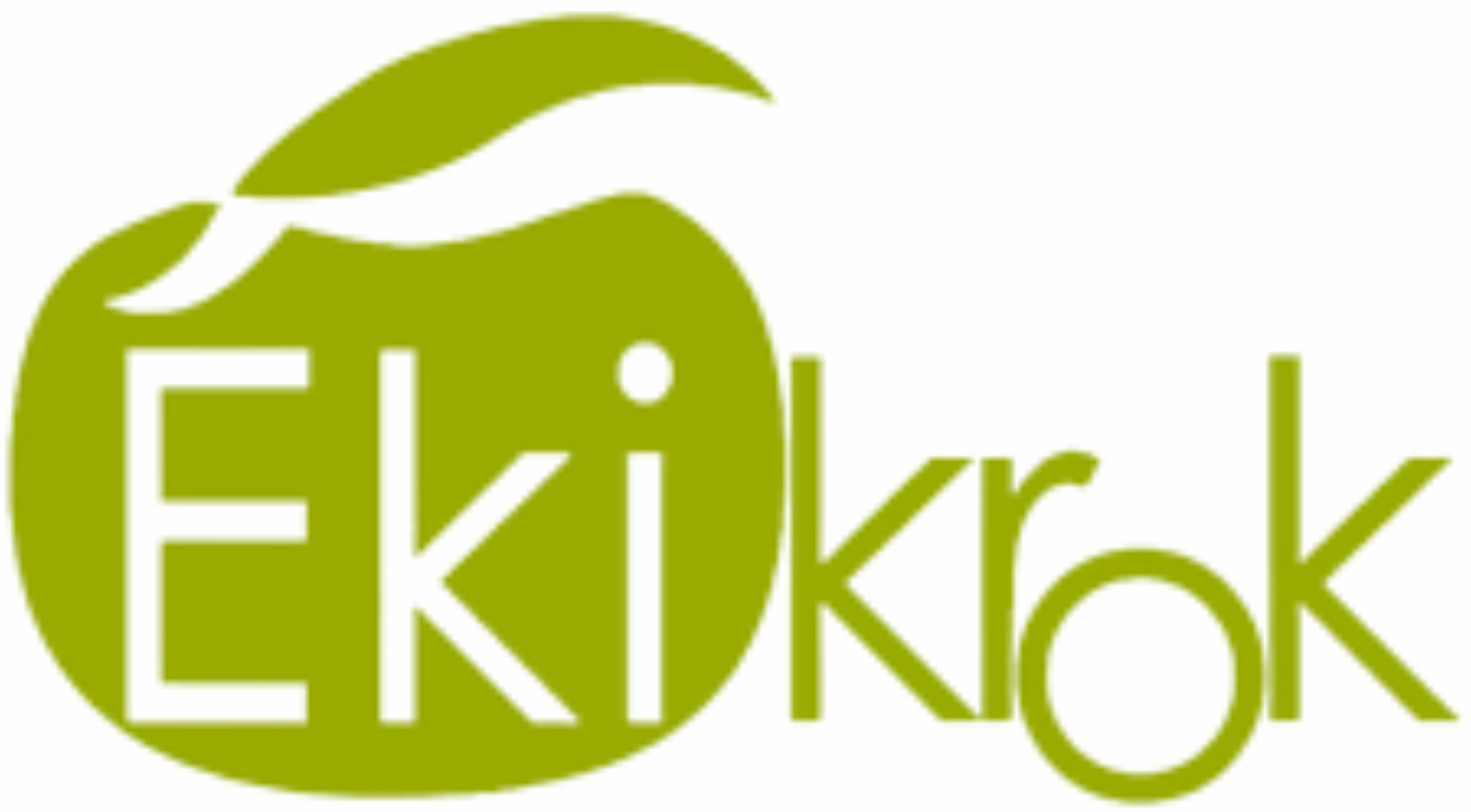 logo ekikrok simple