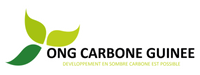 Carbone Guinée