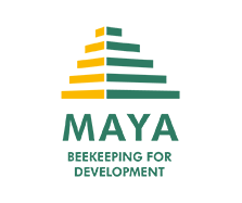 MMH (Miel Maya Honing)