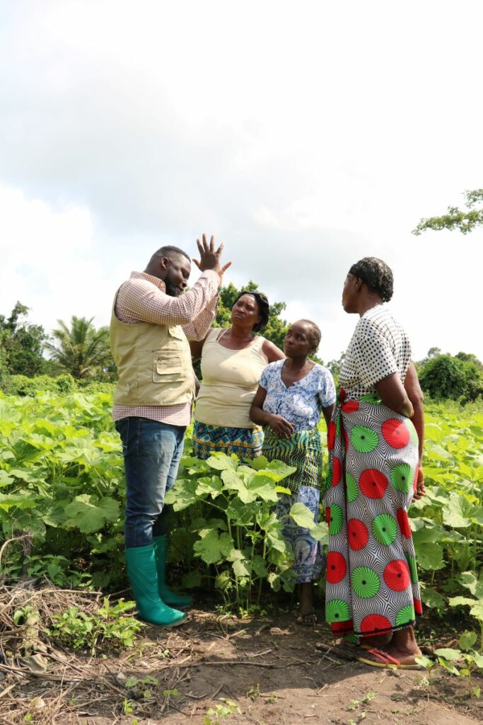 Champ école-paysan dans le Parc Marin des Mangroves, en RDC