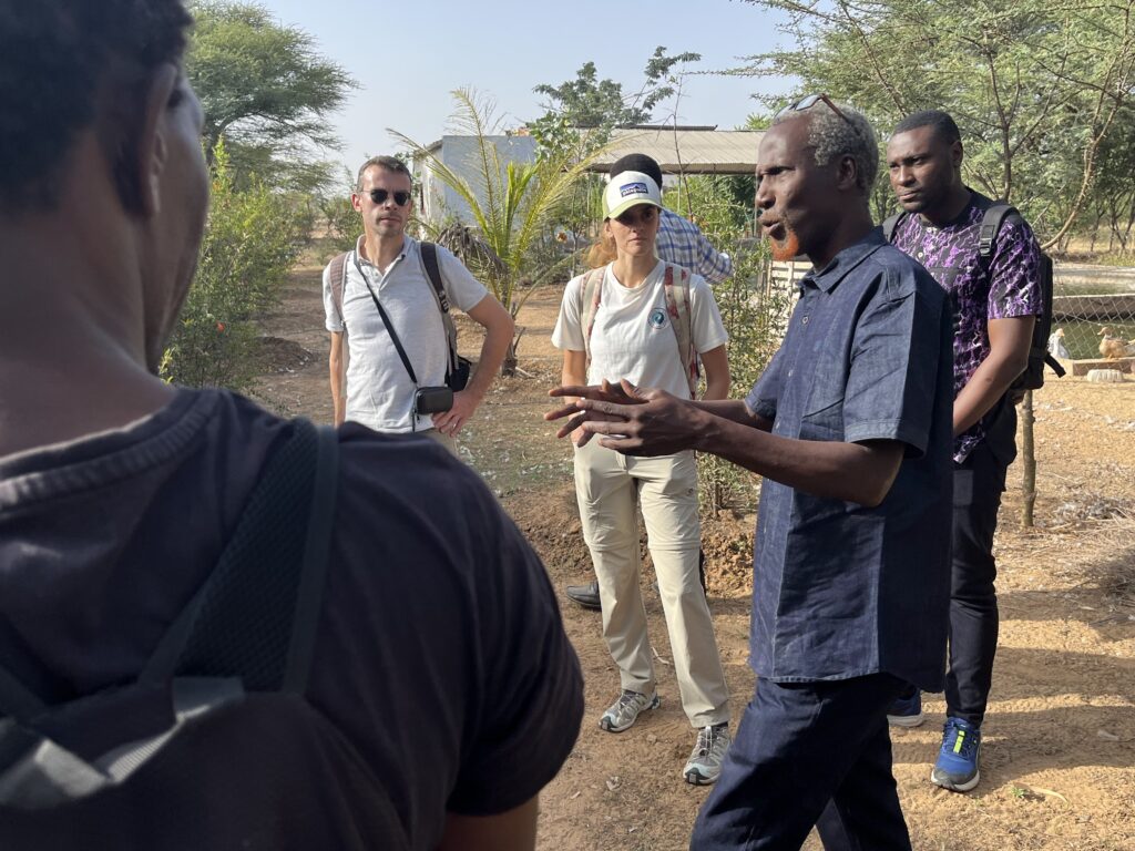 Prestation frères des hommes Sénégal - 6