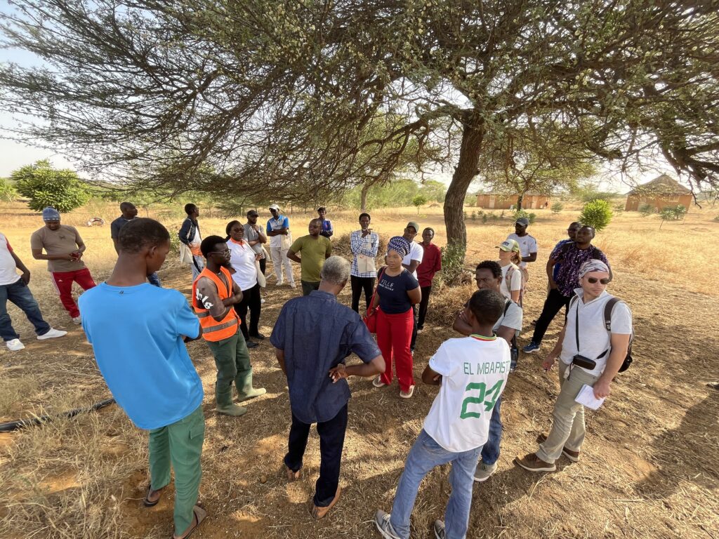 Prestation frères des hommes Sénégal - 8