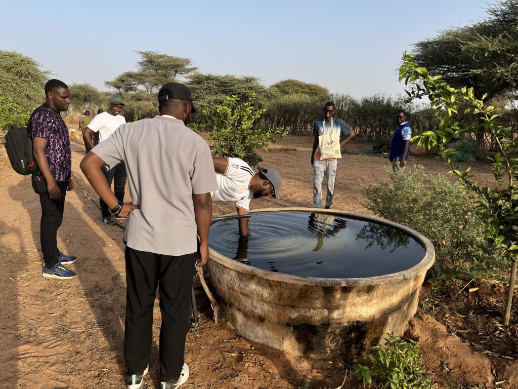 Prestation frères des hommes Sénégal - 10