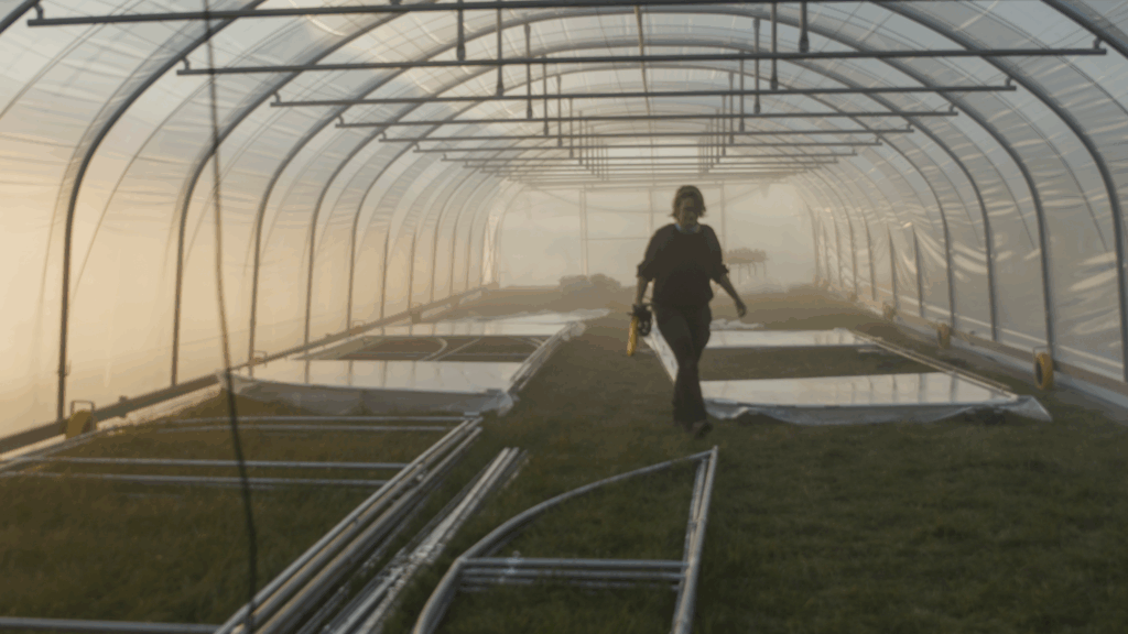 Pensées paysannes - Ferme du grand feu