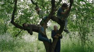 l'arbre de l'authenticité sammy baloji festival alimenterre