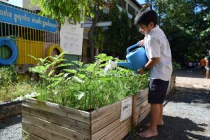 Projet Agroecology garden for the future