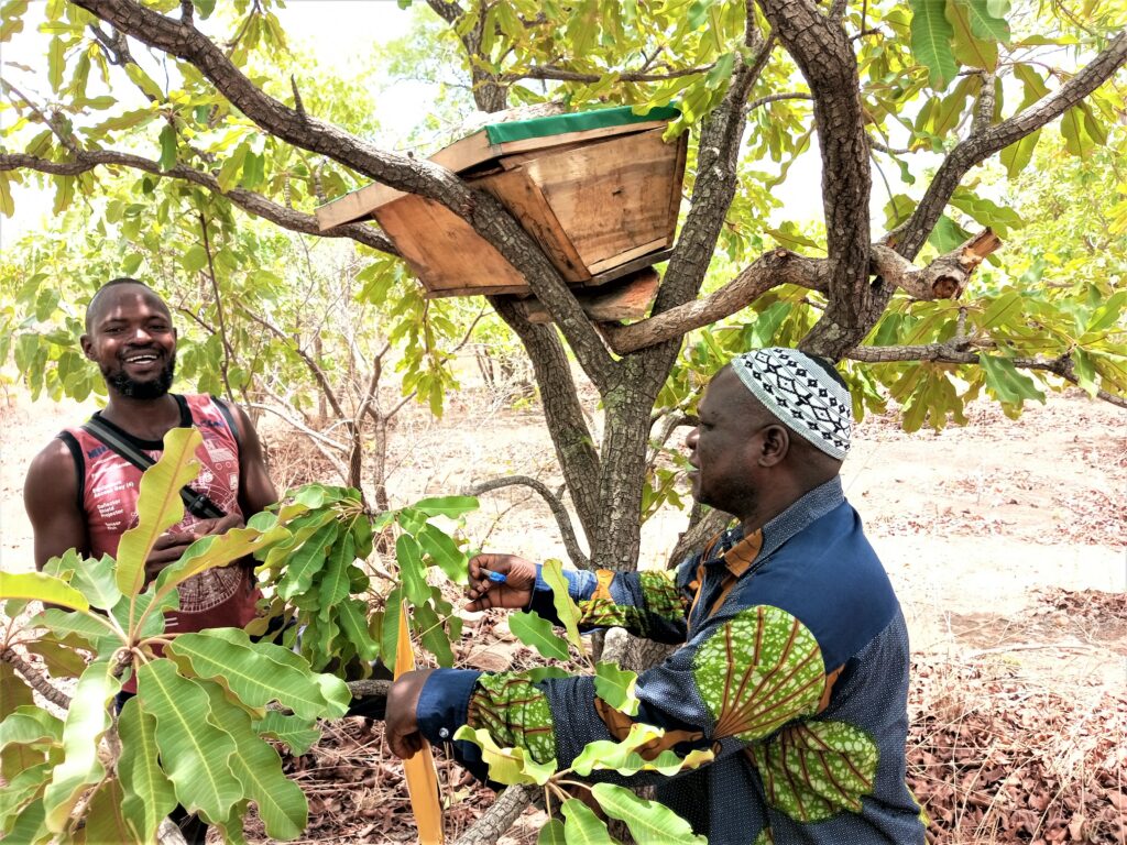 Ucoopia_Osez entreprendre Bénin