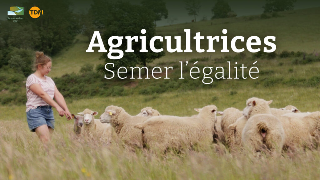 Semer l'égalité - visuel du film - Agricultrice avec des brebis dans un champ.